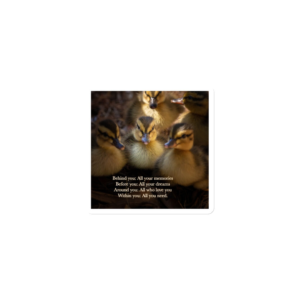 Magnet-Inspirational Quote Ducklings - Image 1