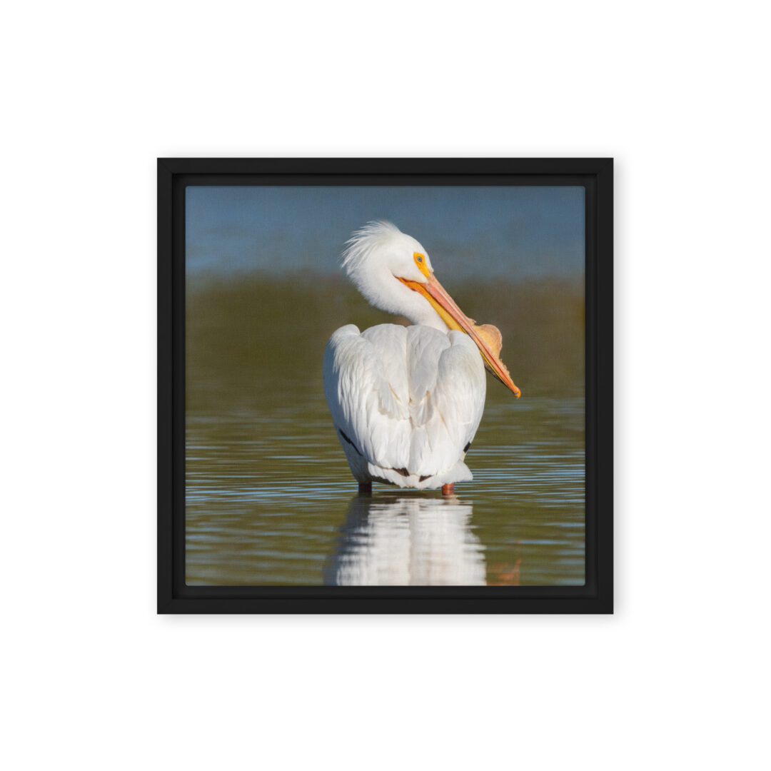 framed-canvas-in-black-12x12-front-6977b5f8610a7.jpg