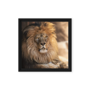 Framed canvas - Image 1