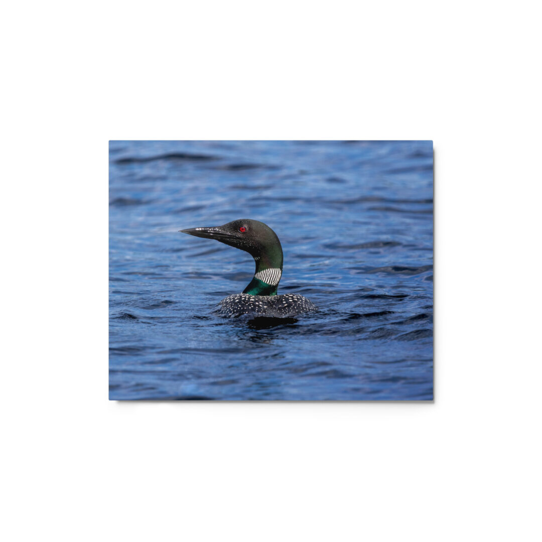 glossy-metal-print-in-white-8x10-front-6977b5f7c373d.jpg