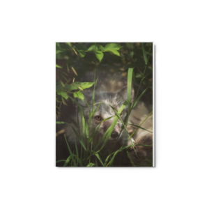 The Eye That Sees You- Framed Arctic Fox Metal Print