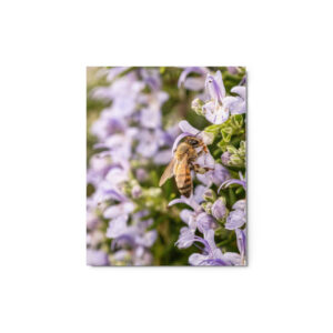 Metal Prints-Bee a hugger - Image 1