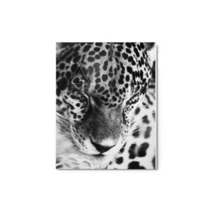 Silent Power - Framed Leopard Portrait (Black & White)