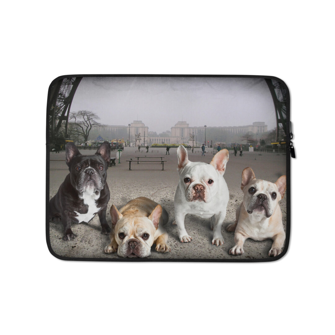 laptop-sleeve-13-front-697792c78288c.jpg